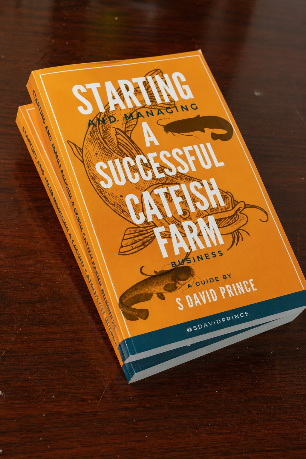 Ultimate Guide: Starting and Managing a Successful Catfish Farming Business 1 paperback copy of Starting and Managing a Successful Catfish Farm Business by S David Prince, showing the orange front cover and spine on a wooden surface.